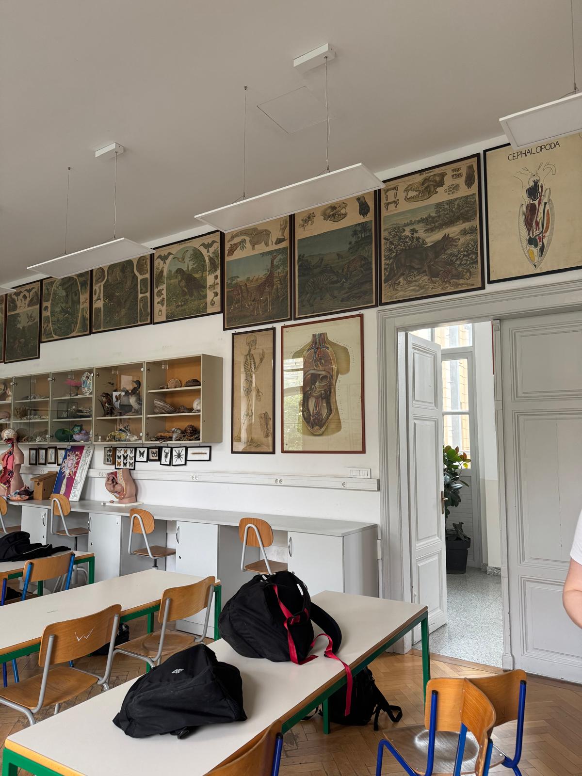 Biologieraum mit anatomischen Wandtafeln, Schultischen und Pr&auml;parateschr&auml;nken.