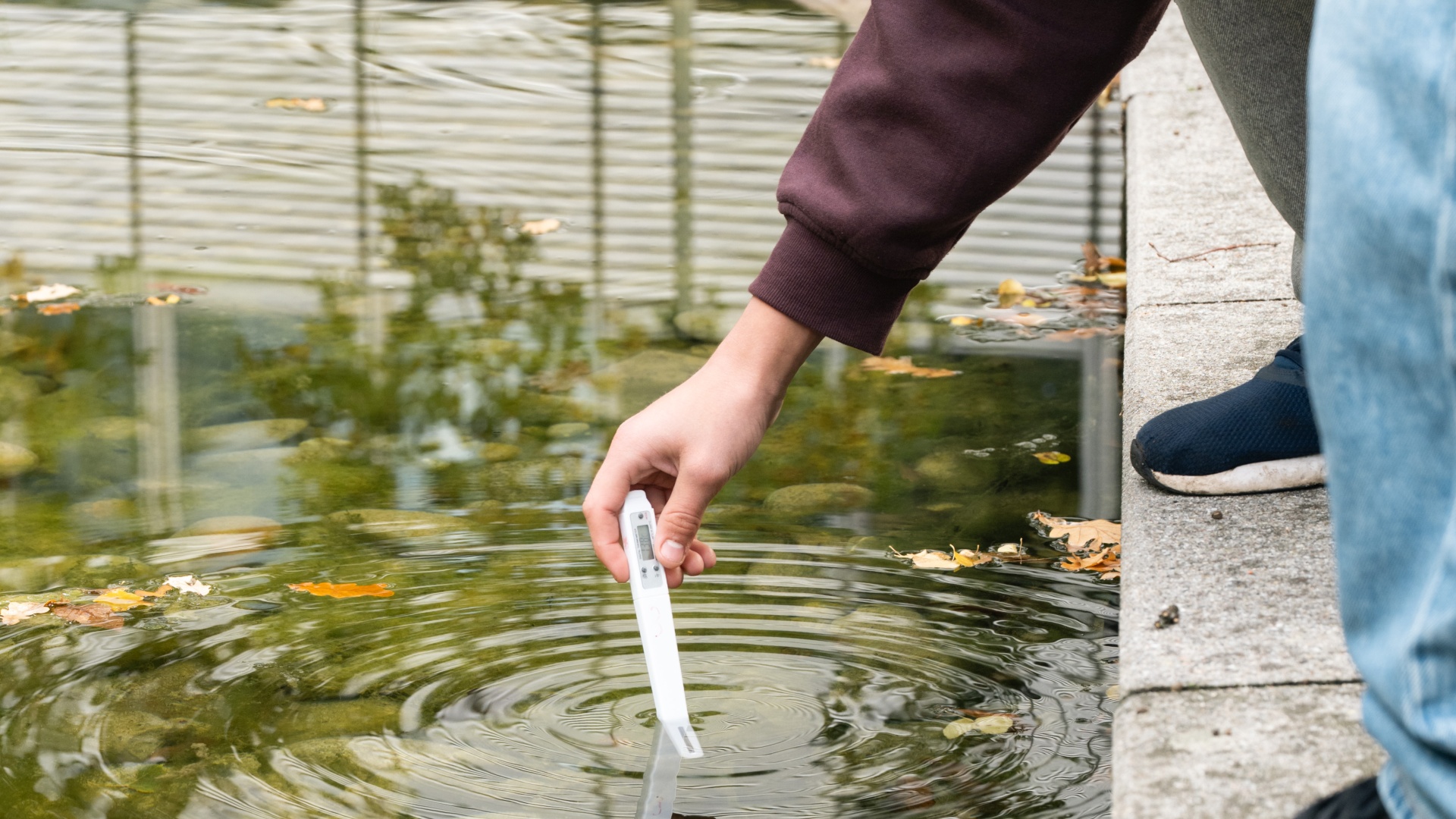 Eine Hand hält ein Thermometer in den Fermi-See.
