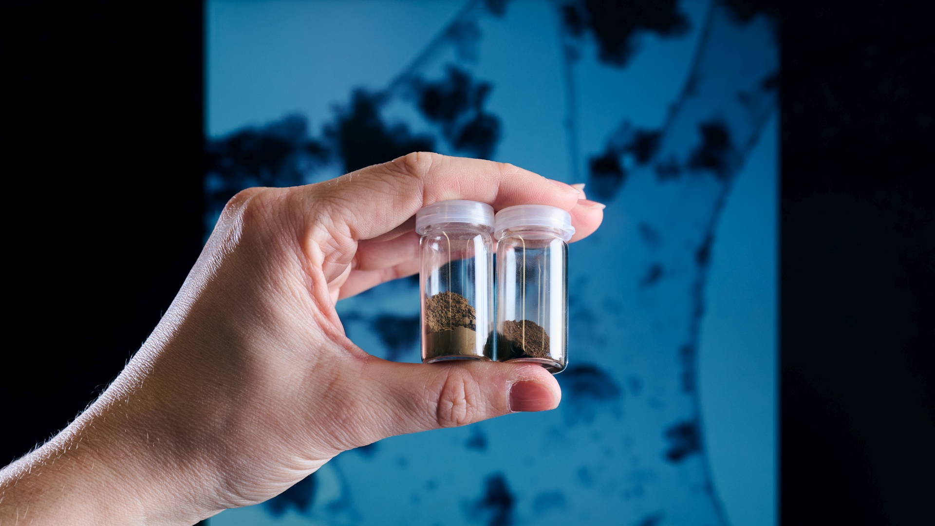 Hand holding two small glass vials containing dark brown powder against a blue background.